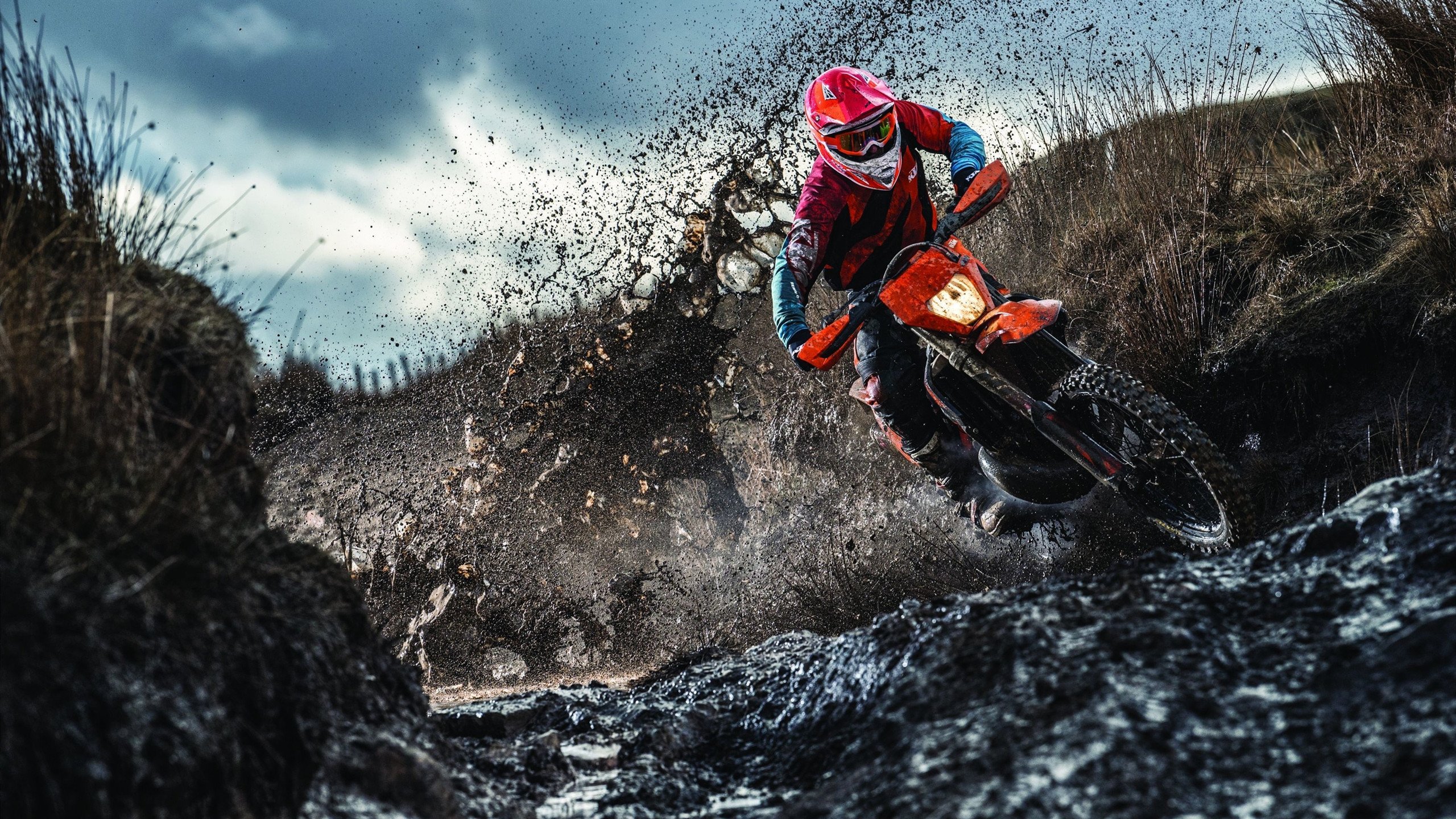 传奇班底：那些曾经统治欧冠的王朝