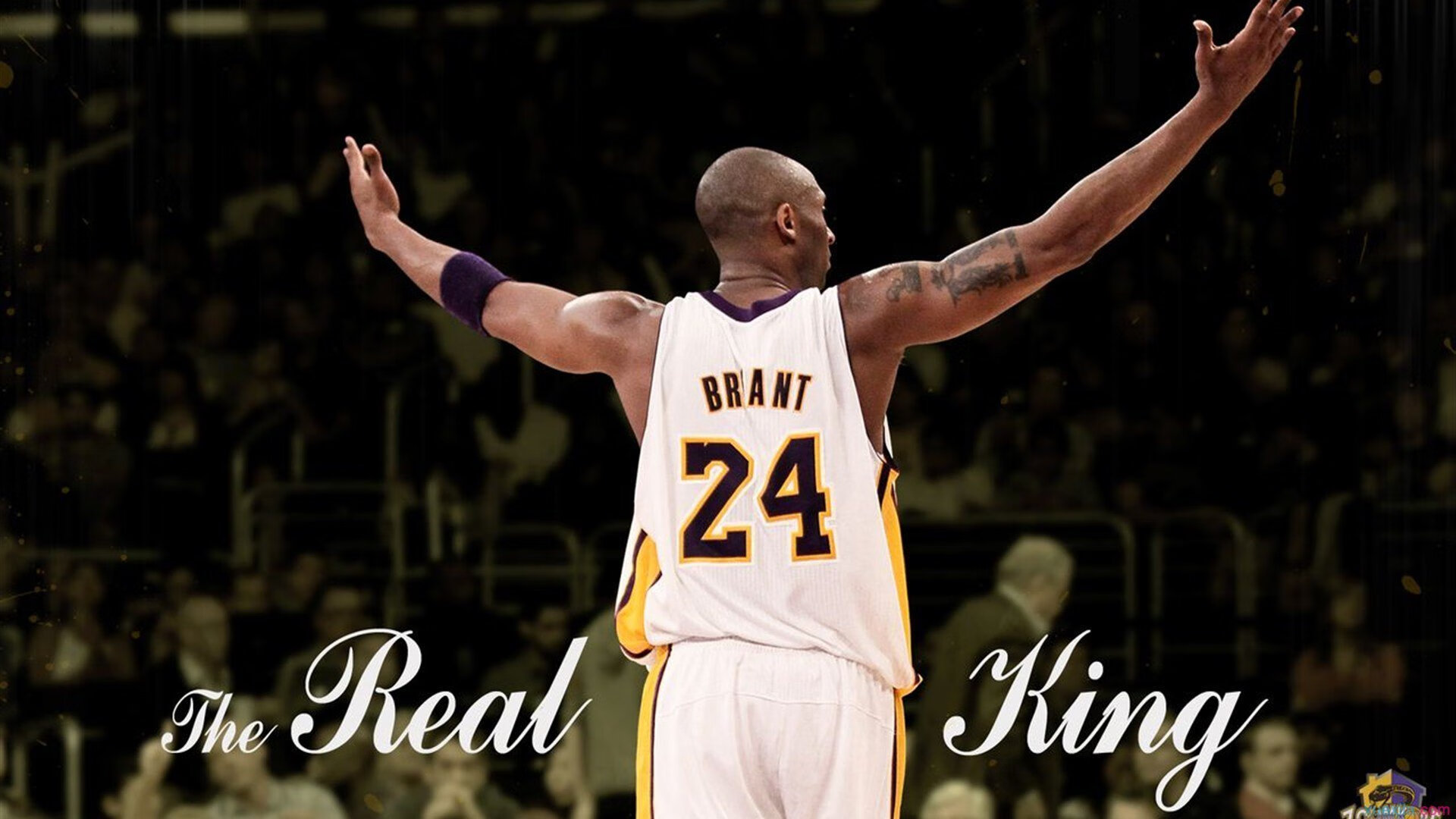 塞内加尔骑手马马杜·巴在非洲马术锦标赛后成为马术协会主席，推动马术运动发展。